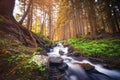 Forest creek with silky smooth waterfall