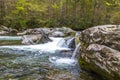 Forest creek with waterfalls. Royalty Free Stock Photo