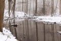 Forest Creek in winter colours Royalty Free Stock Photo