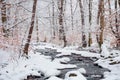 Forest creek in winter forest Royalty Free Stock Photo