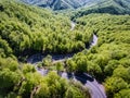 Forest curved road Royalty Free Stock Photo