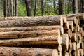Forest cut, cut pine, birch tree logs arranged in order in cubic Royalty Free Stock Photo