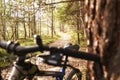 Forest cyclists