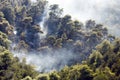 Forest damage caused by fires