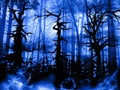 Forest dark landscape with old twisted trees