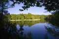 Forest of Dean Gloucestershire Midlands England Royalty Free Stock Photo