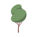 Forest deciduous tree. Abstract wood plant with leafy foliage crown and trunk. Botanical flat cartoon vector