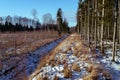 forest and deep wide ditch