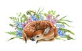 Forest deer cub with spring flowers. Beautiful fawn hand drawn watercolor image. Decor bambi illustration. Wild young Royalty Free Stock Photo