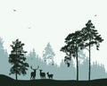 Forest with deer and flying birds