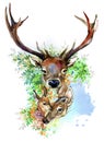 Forest deer watercolor illustration