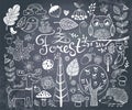 Forest design elements in doodle style