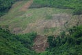 Forest destroyed on mountain ,invaded by humans,Invade the fores