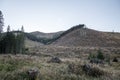 Forest devastated by timber harvesting in Narodny park Nizke Tatry in Slovakia