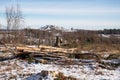 Forest dieback, cleared forest in Germany Royalty Free Stock Photo