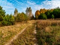 Forest dirt road against the background of a blue sky with clouds Royalty Free Stock Photo