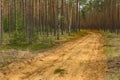 A forest dirt road.