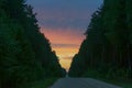 Forest dirt road at sunset