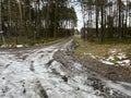 Forest, dirt roads during the spring melting of snow with numerous puddles and ruts