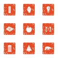 Forest district icons set, grunge style