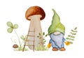 Forest dwarf with mushroom watercolor painting