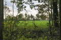 This forest edge borders the meadows near Linschoten 2 Royalty Free Stock Photo