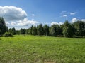 Forest edge on a Sunny summer day, blue sky with light clouds, green field, Russia Royalty Free Stock Photo