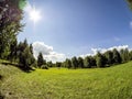 Forest edge on a Sunny summer day, blue sky with light clouds, green field, Russia Royalty Free Stock Photo