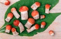 Forest edible mushrooms. Freshly picked aspen mushroom on a wooden background. Selective focus, top view