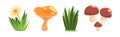 Forest Element and Outdoor Environment Object with Grass and Mushroom Vector Set Royalty Free Stock Photo