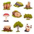 Forest Elements with Mossy Stump, Mushrooms and Trees Vector Set Royalty Free Stock Photo