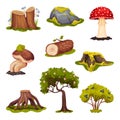 Forest Elements with Mossy Stump, Mushrooms and Trees Vector Set Royalty Free Stock Photo