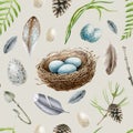 Forest elements seamless pattern. Watercolor illustration. Hand drawn birds nest, eggs, feathers, fern and pine branches Royalty Free Stock Photo