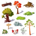 Forest Elements Set Royalty Free Stock Photo