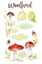 Forest elements witn mushrooms, branches, grassl for kindergarten, isolated illustration for children , pattern