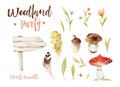 Forest elements witn mushrooms, branches, grassl for kindergarten, isolated illustration for children , pattern