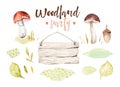 Forest elements witn mushrooms, branches, grassl for kindergarten, isolated illustration for children , pattern