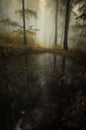 Forest with enchanted lake and fog