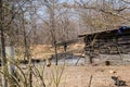 Forest Encroachment Indore Madhya Pradesh