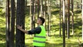 Forest engineering and management, renewable resources - forester inspecting quality of pine tree