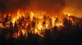 The Role of Climate Change in Increasing Forest Fire Intensity Royalty Free Stock Photo