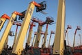 A forest of erected forklifts