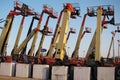 A forest of erected forklifts