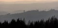 forest evening hills panorama Royalty Free Stock Photo
