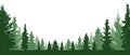 Forest evergreen, coniferous trees, silhouette vector background.