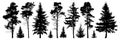Forest evergreen trees silhouette isolated set Royalty Free Stock Photo