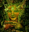 Forest fairy shaman with panflute and crystal, detailed colorful illustration Royalty Free Stock Photo