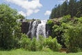 Forest falls of the mac mac river in the north of sabie, south africa