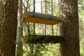 Forest feeder for animals and birds. Nature. The photo