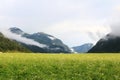 Forest and field in Achenkirch - Tyrol, Austria